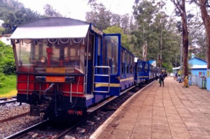 Ooty forest trek